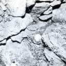 Hamilton Fisch - 5 – The Skull of Grace Budd was discovered buried with other pieces of her skeleton -murderpedia –