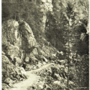 Riegrova stezka - 5 svtz09+