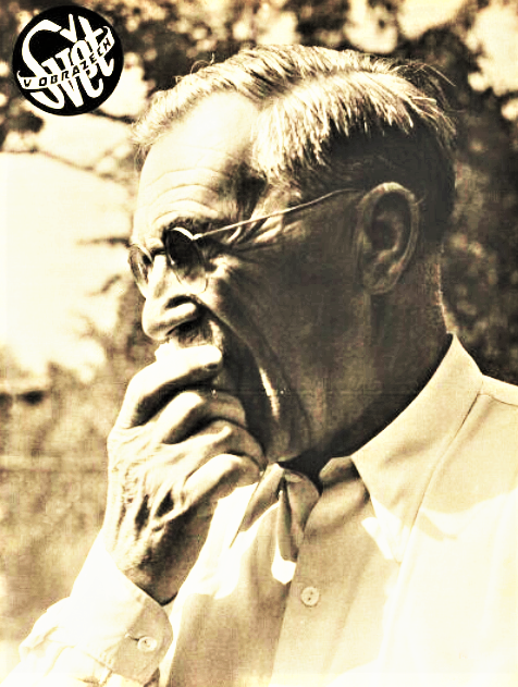 Obrázek #8 z 11