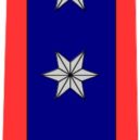 Papežská švýcarská garda - 6 – Rank insignia of Hauptmann (OF-2) shoulder board, for the Pontifical Swiss Guard. – wikipedia