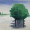 Zdeněk Rykr - 7 stromořadí 31 ngp