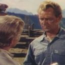 Jack Shaefer - Alan Ladd ve filmu Shane – wikimedia.commons
