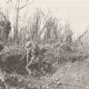 Bitva o základnu Khe Sahn - Americká námořní pěchota během bitvy o Khe Sanh – wikipedie
