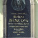 Otevřený dopis paní Boženě Němcové - Domažlice Němcové