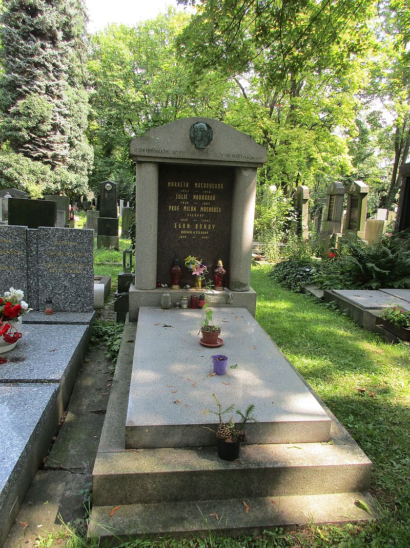 Obrázek #3 z 3