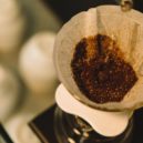 Melitta - Fotka od StockSnap z Pixabay