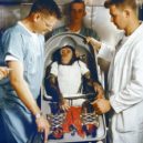 Šimpanzí kosmonaut Ham - Ham připoutaný k sedačce – –