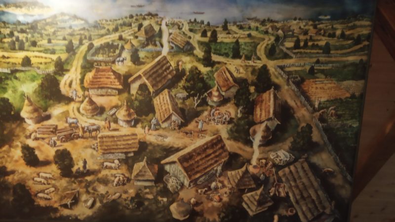 Obrázek #10 z 15