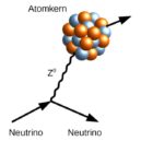Poselství černé díry - Neutrino