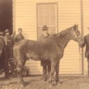 „Stonewall ” Jackson - Old oder Little Sorrel, das Pferd Stonewall Jacksons -wikimedia.commons –