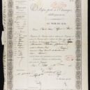 Dáma s kaméliemi - Pasport Alphosine Plessis (leden 1846) – wikipedia