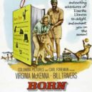 Joy a Elsa - Plakát k filmu Volání divočiny (Born Free), 1966 – příběh lvice Elsy – wikipedia