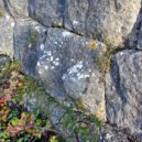 Svatá Agáta - Saint Agatha’s breasts sculpted in the fortification walls at Mons, Var in the south of France – wikipedia