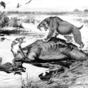 Tajemství jezer smrti - Smilodon a pravlk