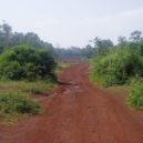 Bitva o základnu Khe Sahn - This is a photo taken while standing on the old airstrip at Khe Sahn looking west. – –