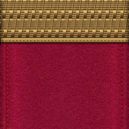 Čapajev - Výložky Ruské imperiální armády seržant-major (praporčík) – wikipedia