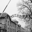 Holocaust - Holocaust