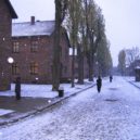 Holocaust - Holocaust