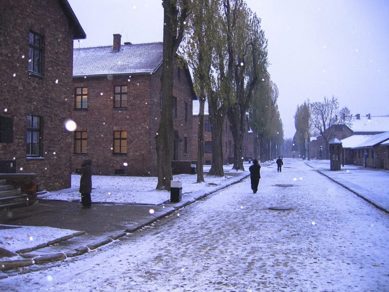 Obrázek #4 z 9