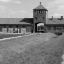 Holocaust - Holocaust