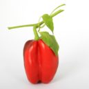 Domácí papriky - bell-pepper-1239424_1280