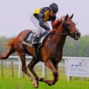 Dick Francis - dostihy