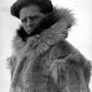 Togo a Balto - Seppala