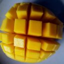 Mango a avokádo - mango