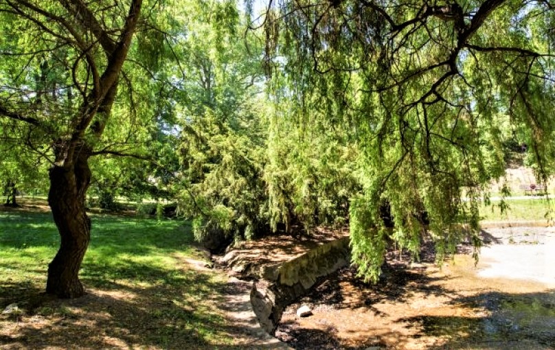 park jezerka změny prahy