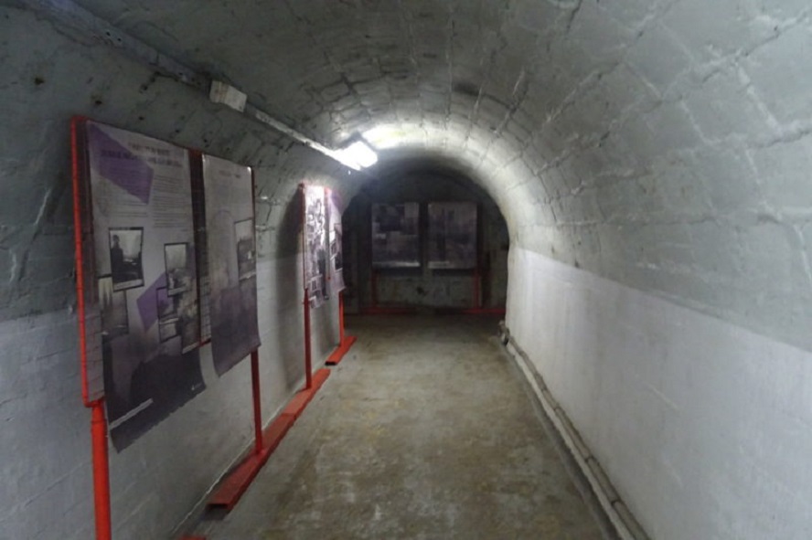 Obrázek #7 z 8