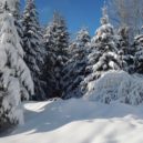 Vysoké Tatry - Vysoké Tatry