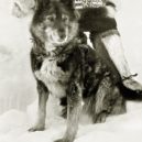 Togo a Balto - Togo