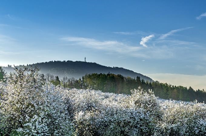 Obrázek #8 z 8