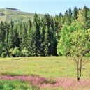 Harrachov – Anenské údolí - 1 anensky_harr