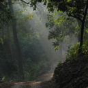 Jim Corbett - Národní park Jima Corbetta