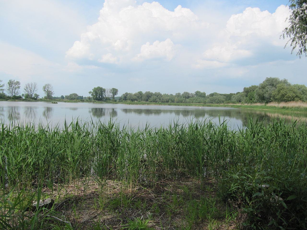 Tip na výlet: Přírodní park Záhlinické rybníky. Zážitkové místo nedaleko Kroměříže