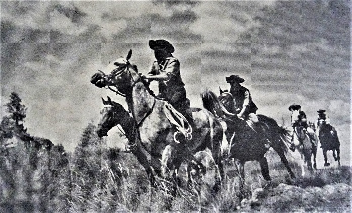 Obrázek #2 z 9