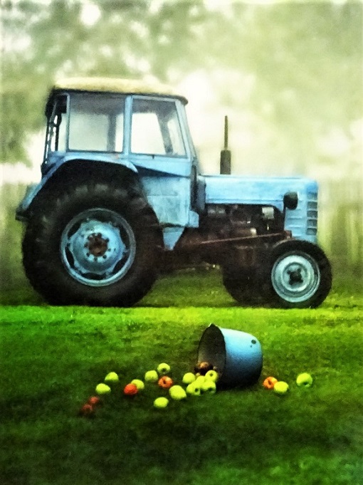 Obrázek #2 z 12