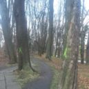 Cyklostezka Vrchlice - Příprava na kácení stromů