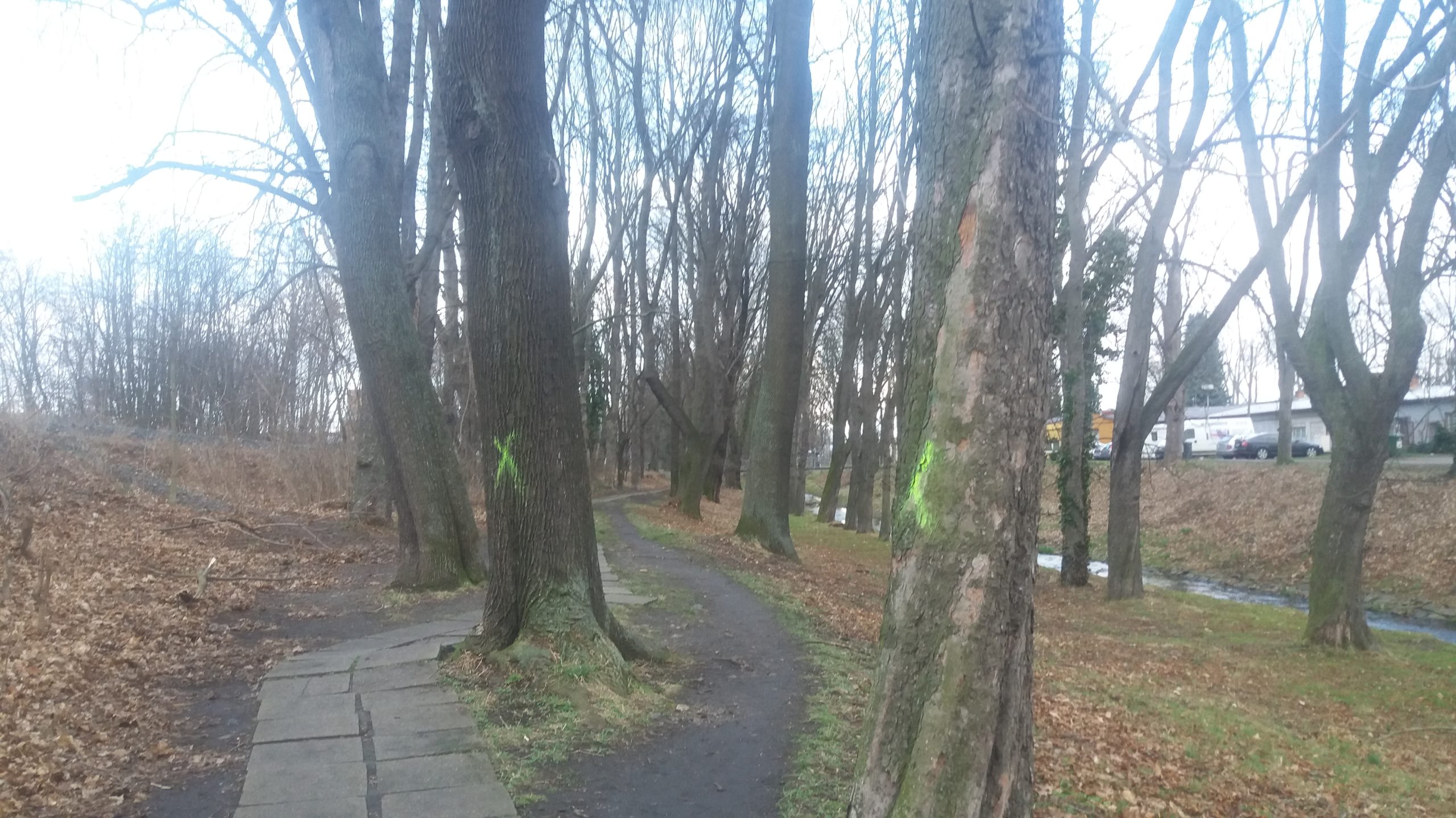 Obrázek #2 z 5