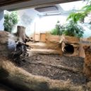 Darwinův kráter - Darwinův kráter zoo