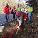 Dobrovolníci zachrání tisíce obojživelníků - žabí přechody, příroda