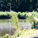 Park Zahrádky se zpřístupňuje - 4 zah