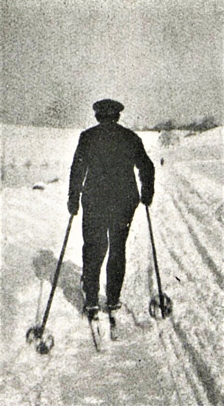 Obrázek #5 z 8