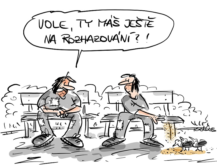 Obrázek #4 z 9