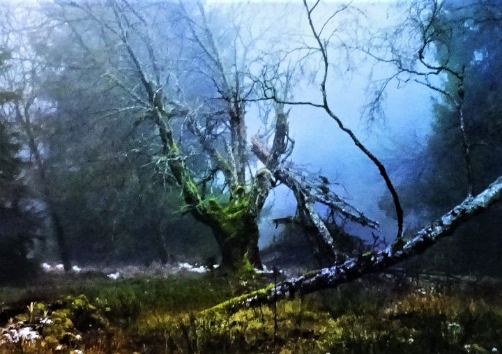 Obrázek #6 z 12