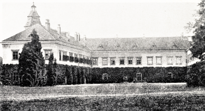 Obrázek #8 z 13