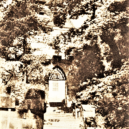 Hrad Valdštejn - 5 valdštejn letsv29