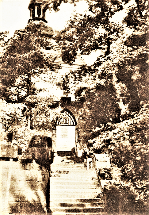 Obrázek #5 z 7
