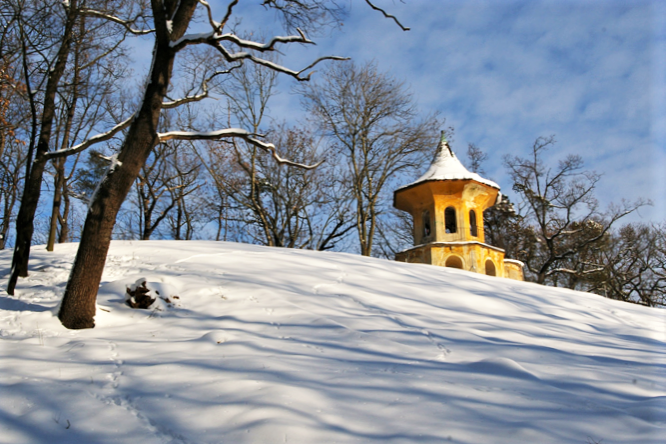 Obrázek #6 z 7